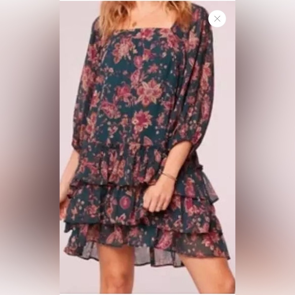 Band of the free Mandy Pine Berry long sleeve dress sz M nwt 010